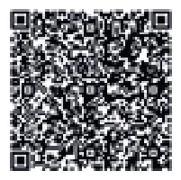 qr image